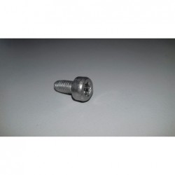 Vite M4 X 8 Torx-Plus 20ip