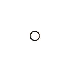 Guarnizioni O-Ring  (980287)